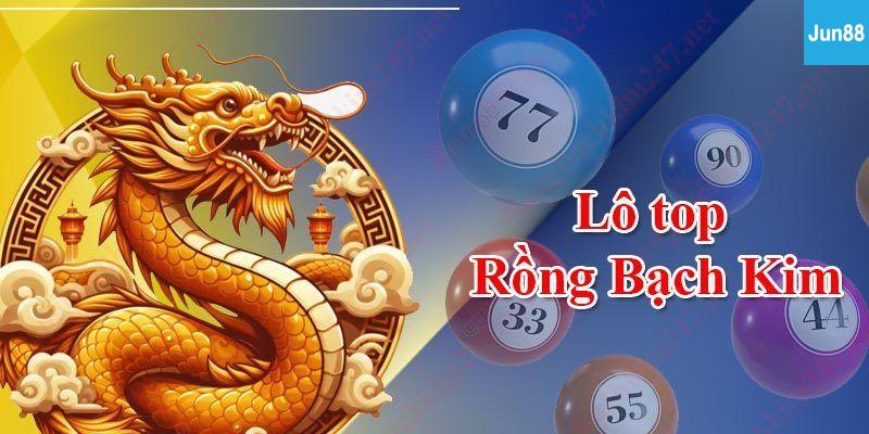 Lô top rồng bạch kim Lô top rồng bạch kim là gì?